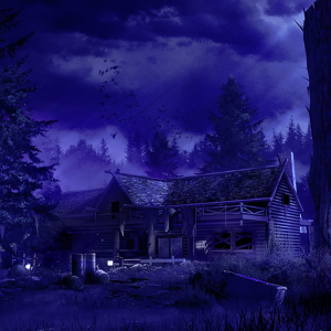 Rave in the Redwoods